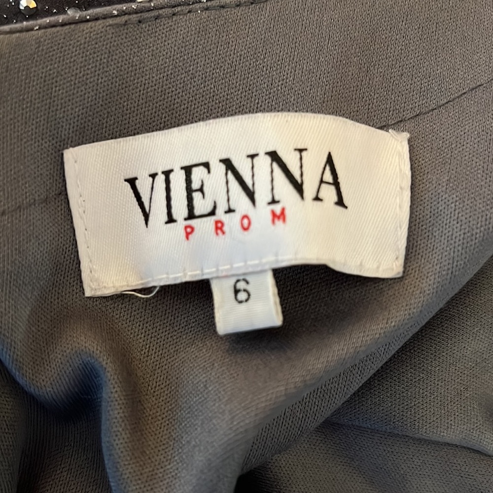 Vienna Prom Dress Size 6 - Picture 12 of 13